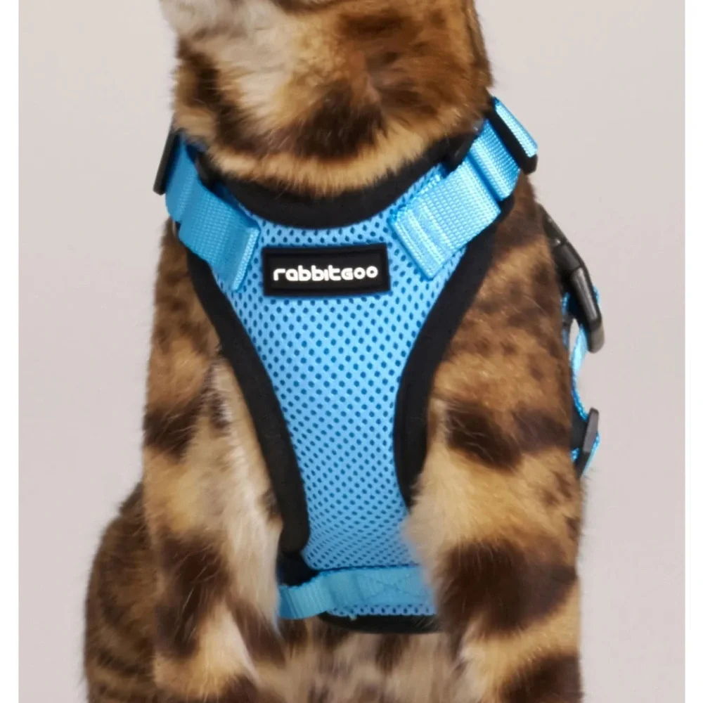 Rabbitgoo blue & black cat harness & leash, size medium, NIB.